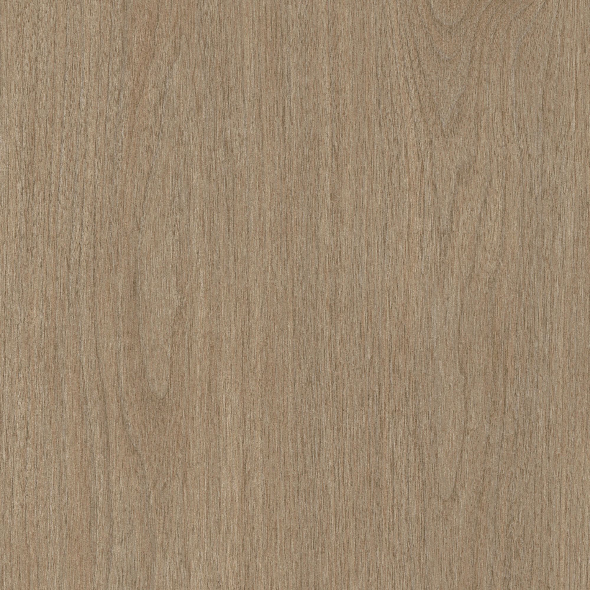 AF08 Hazy Walnut
