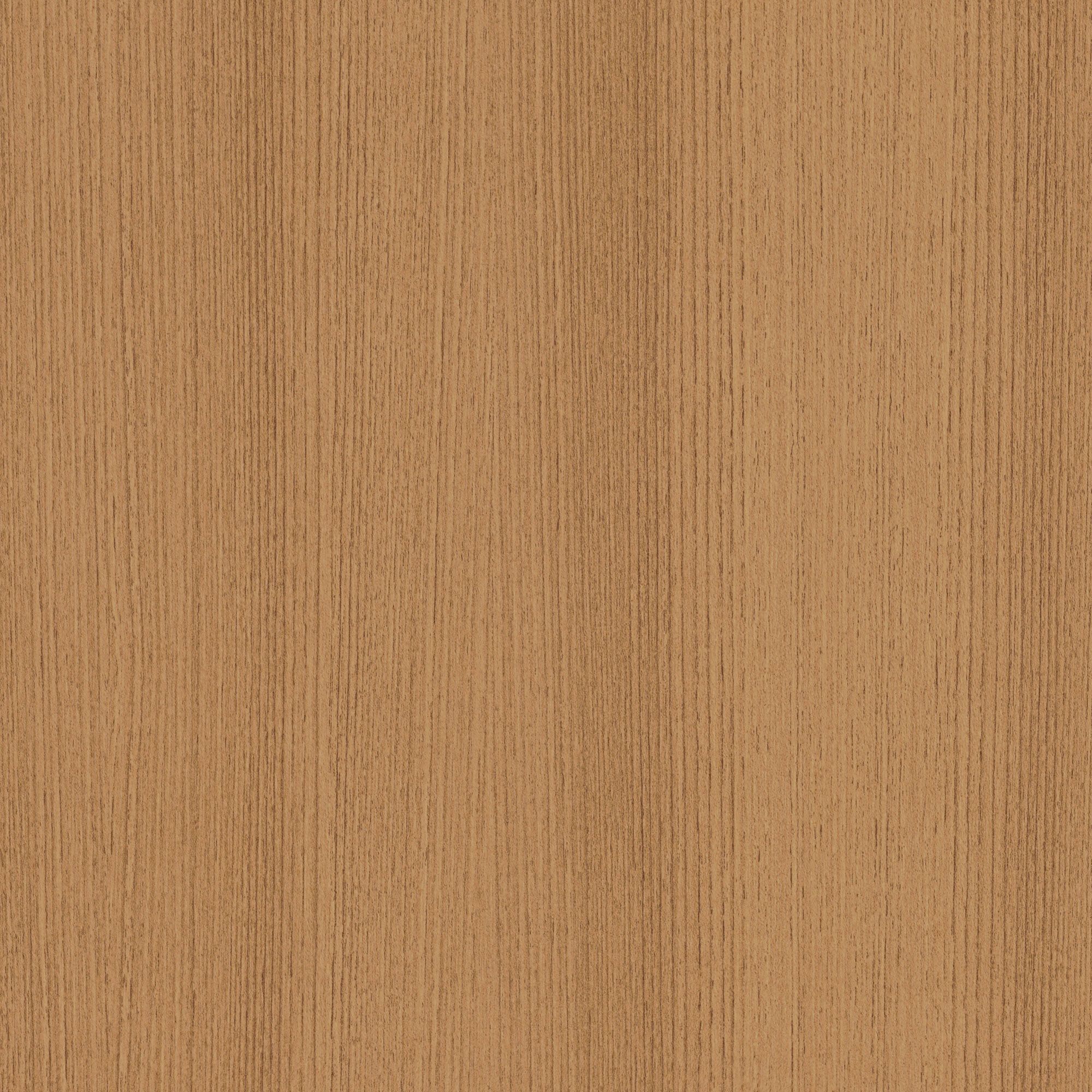 B5 Golden Beech