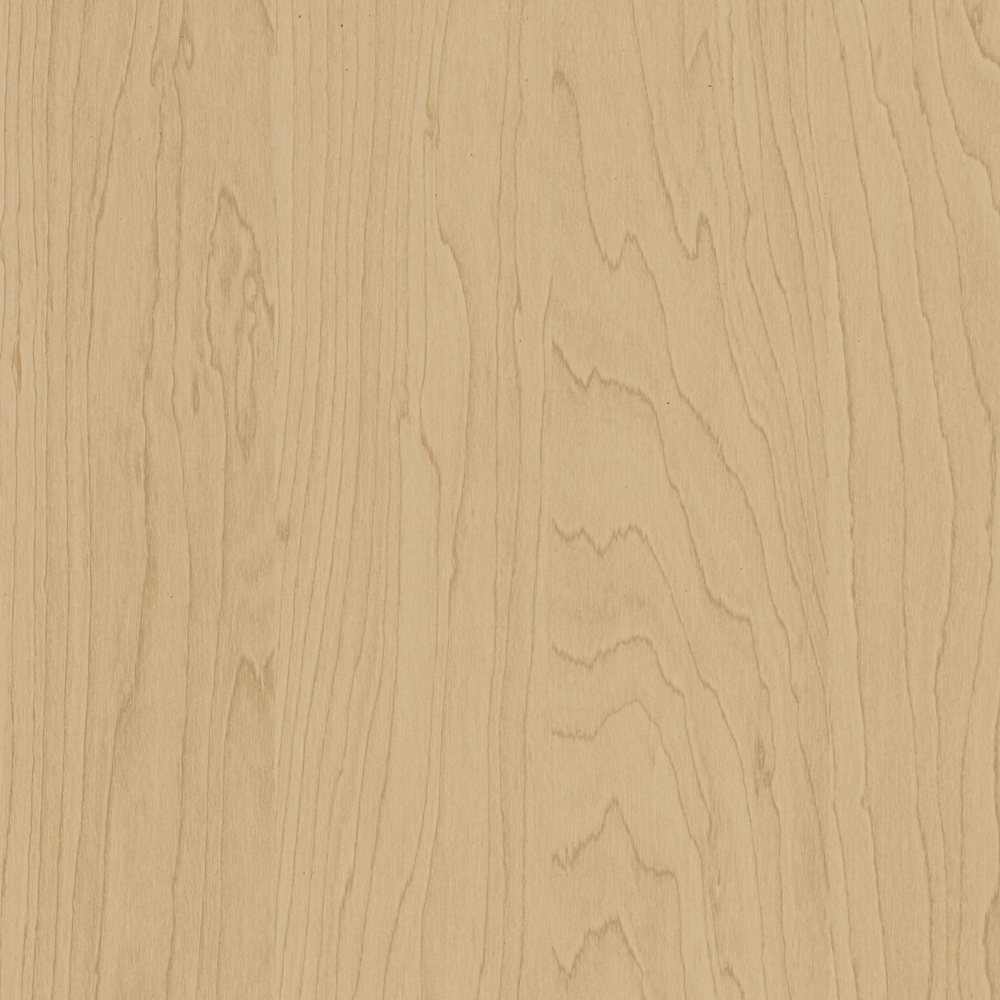 CT20 Gold Birch