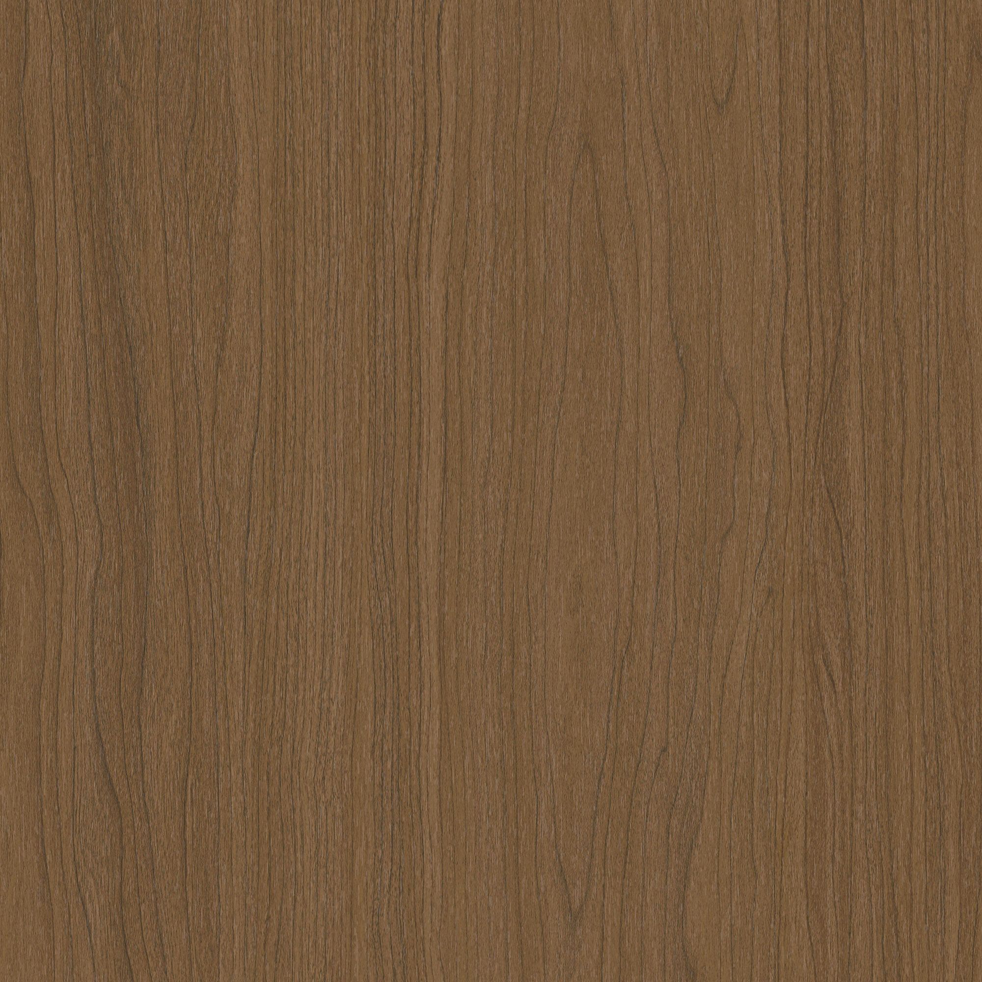 CT29 Brown Birch