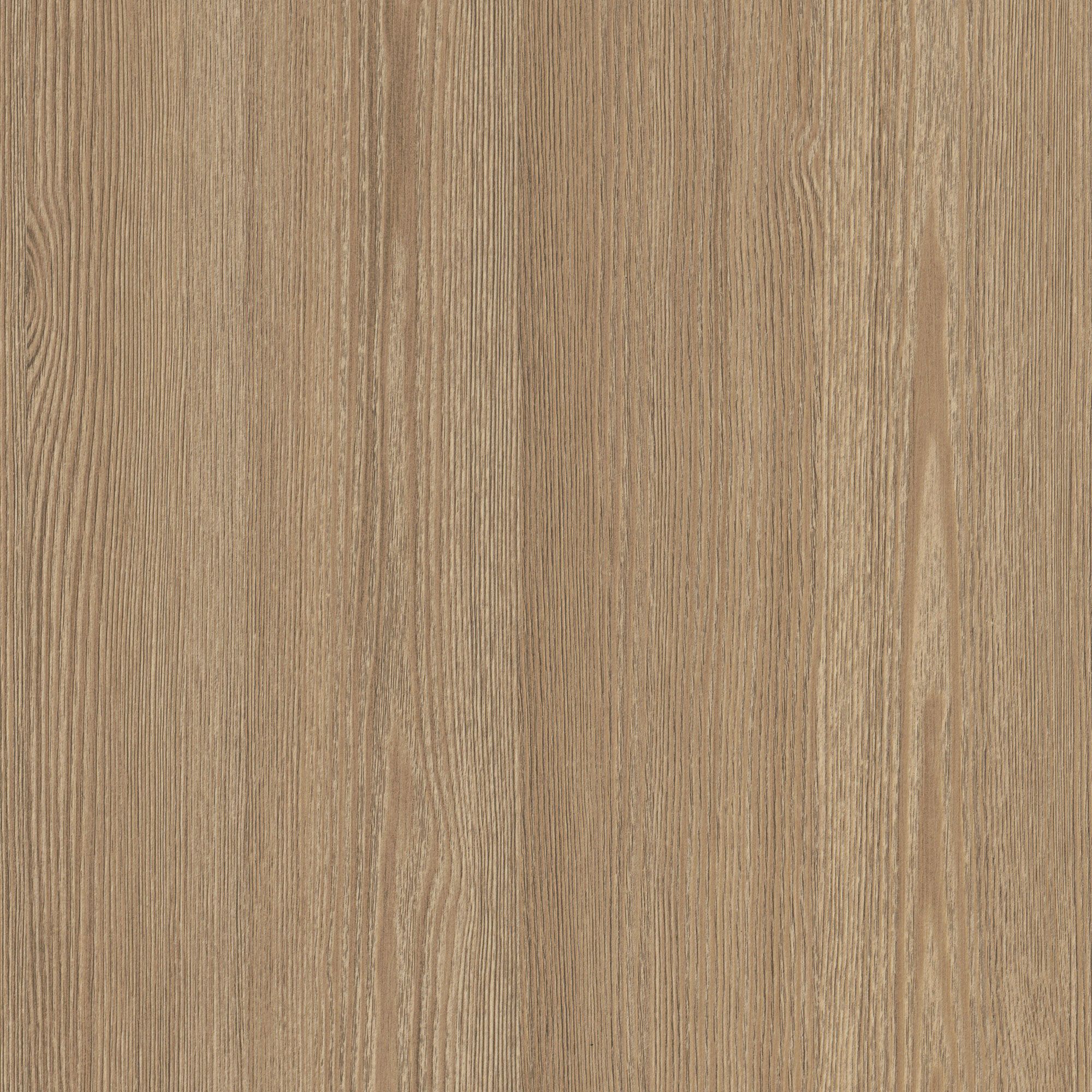 CT35 Golden Pine