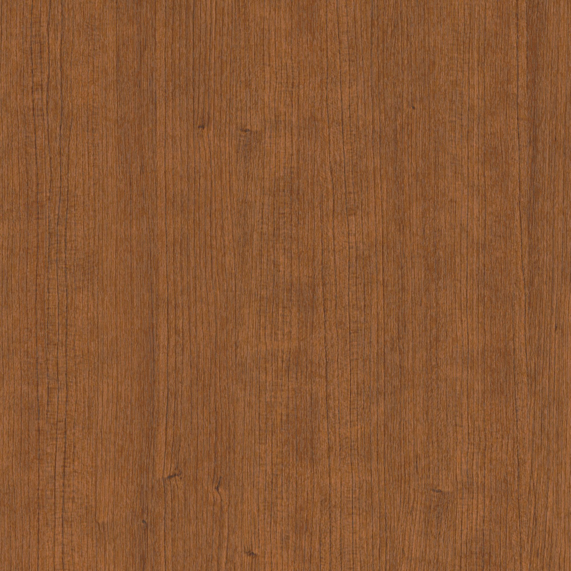CT43 Turmeric Oak