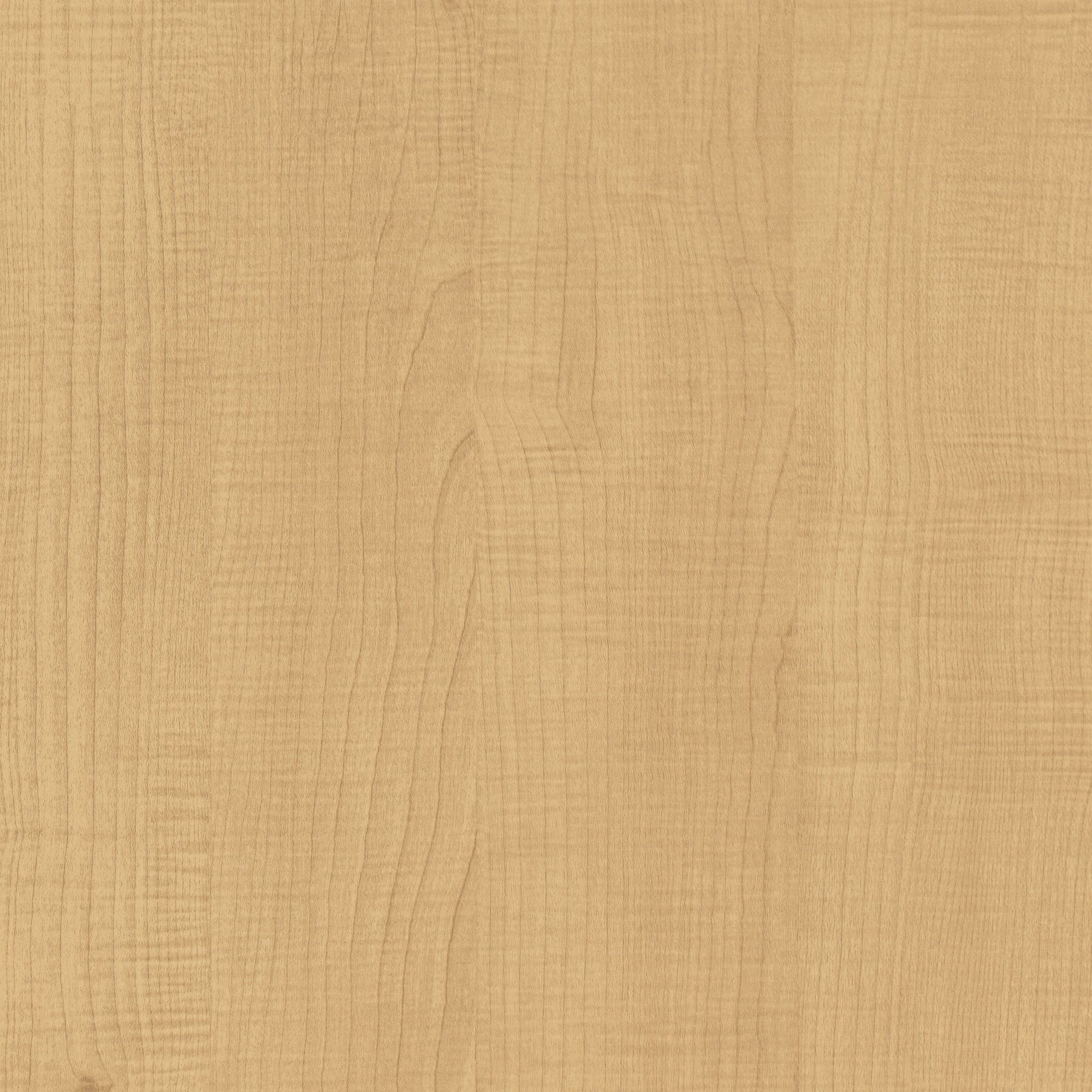 CT46 Ginger Beech
