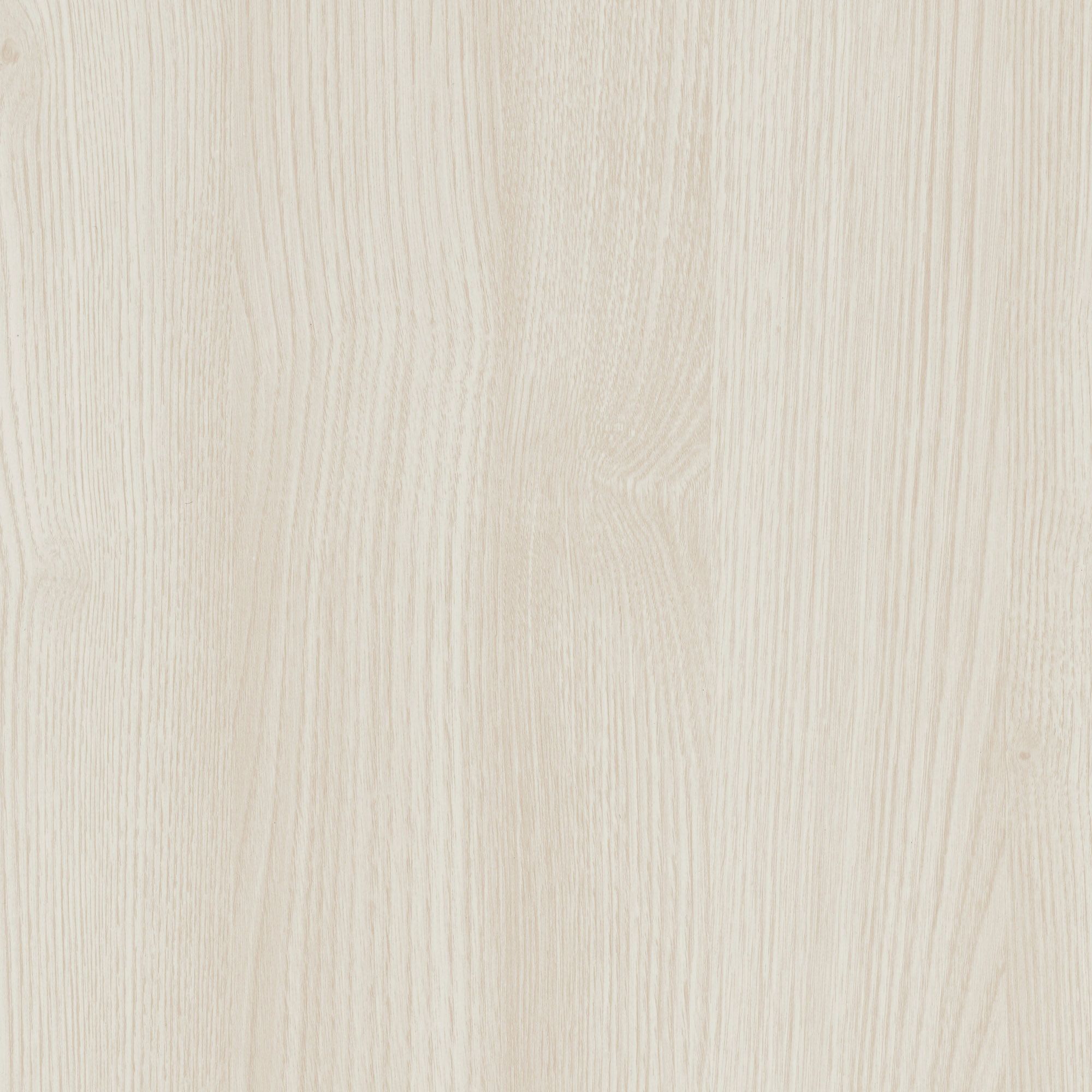 CT91 Glacier Ash