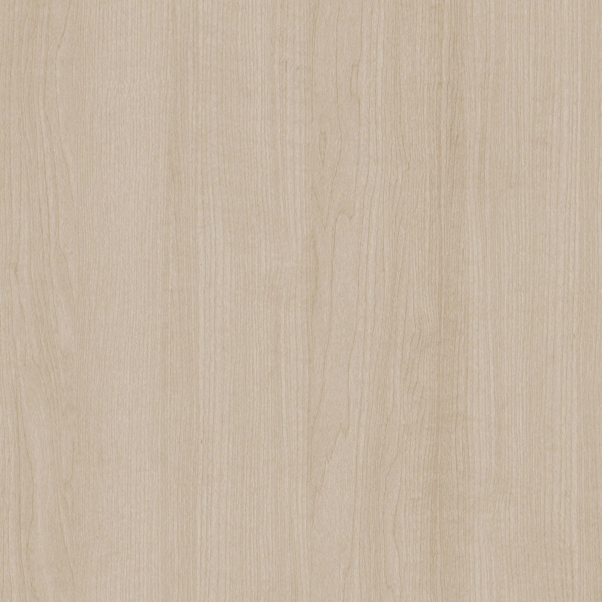 CT93 Silk Beech