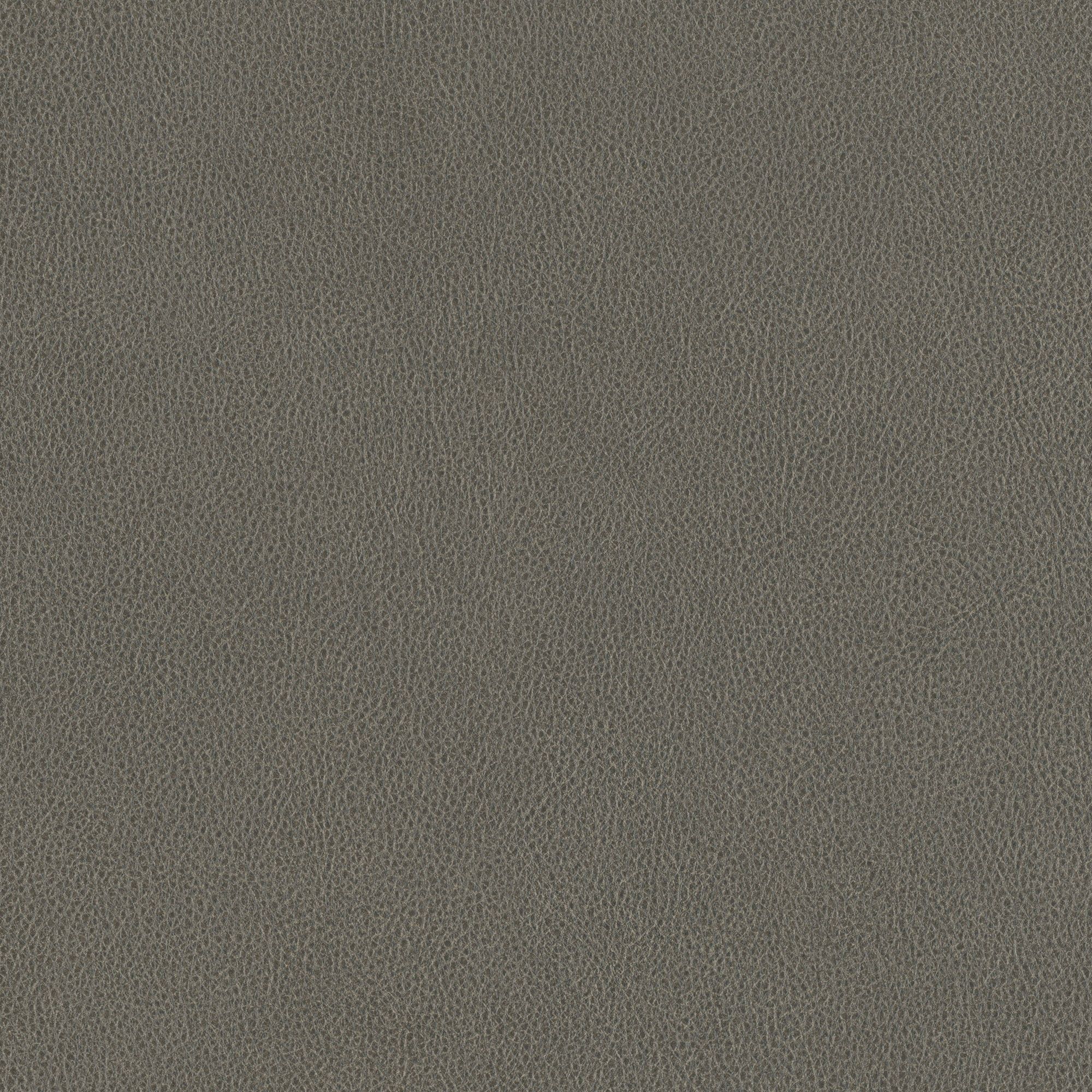 NE40 Truffle