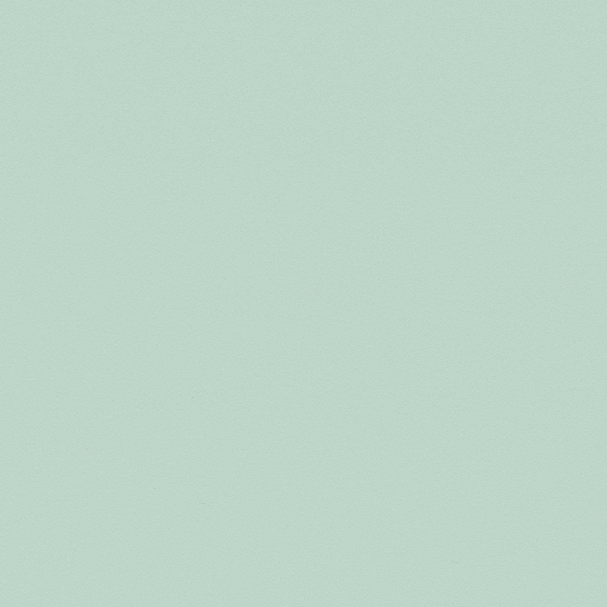 NE54 Mint