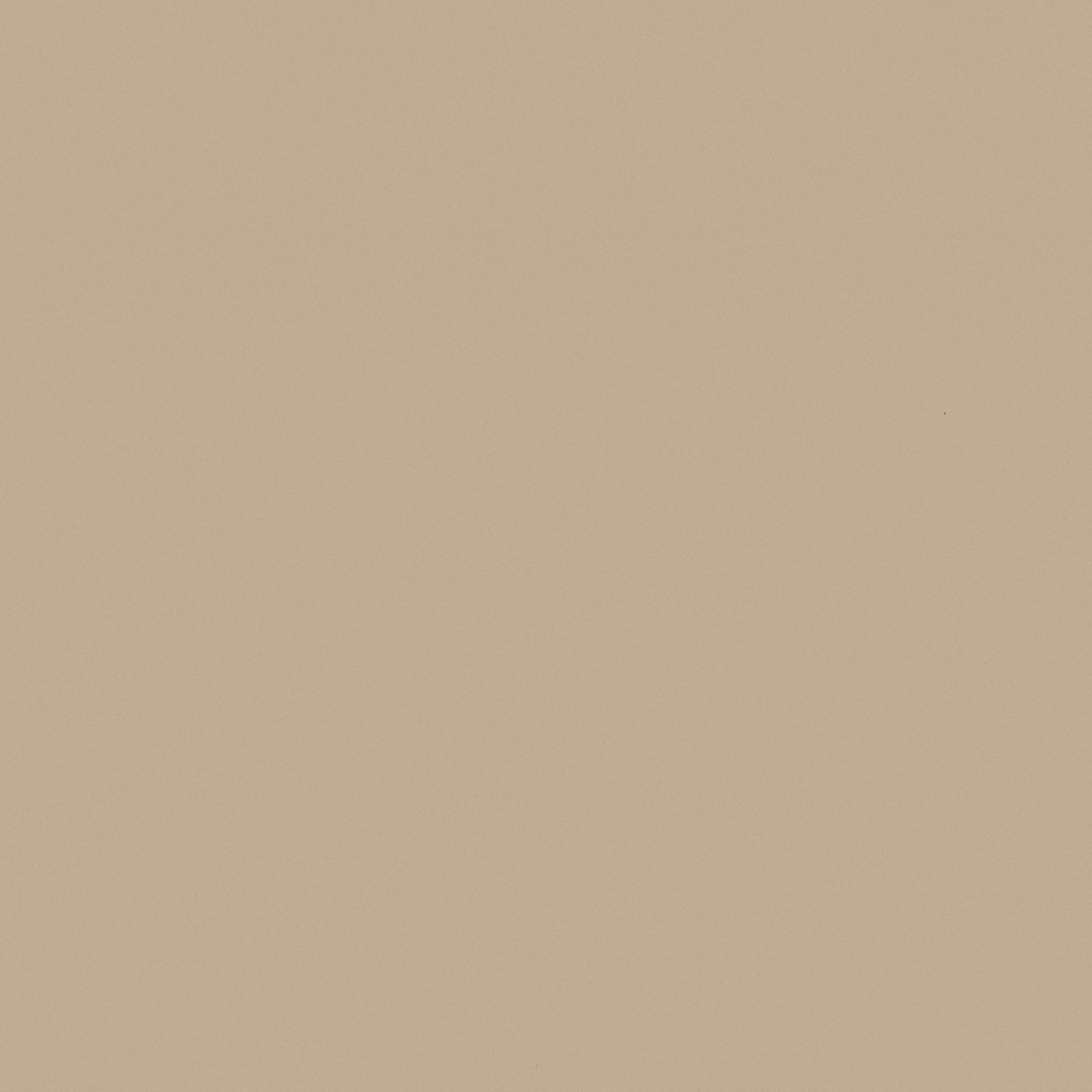 NE55 Caffee Latte