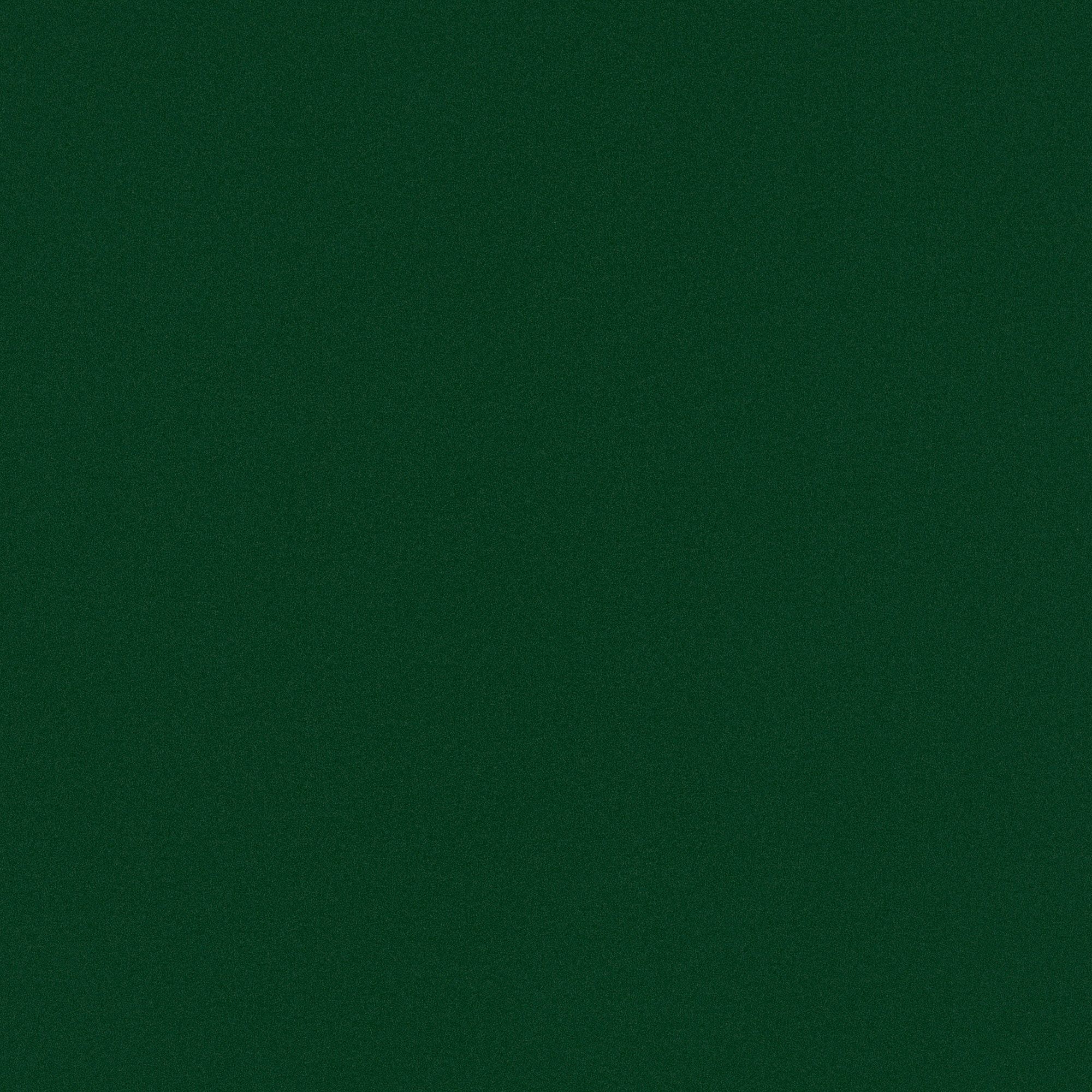 NE83 Evergreen