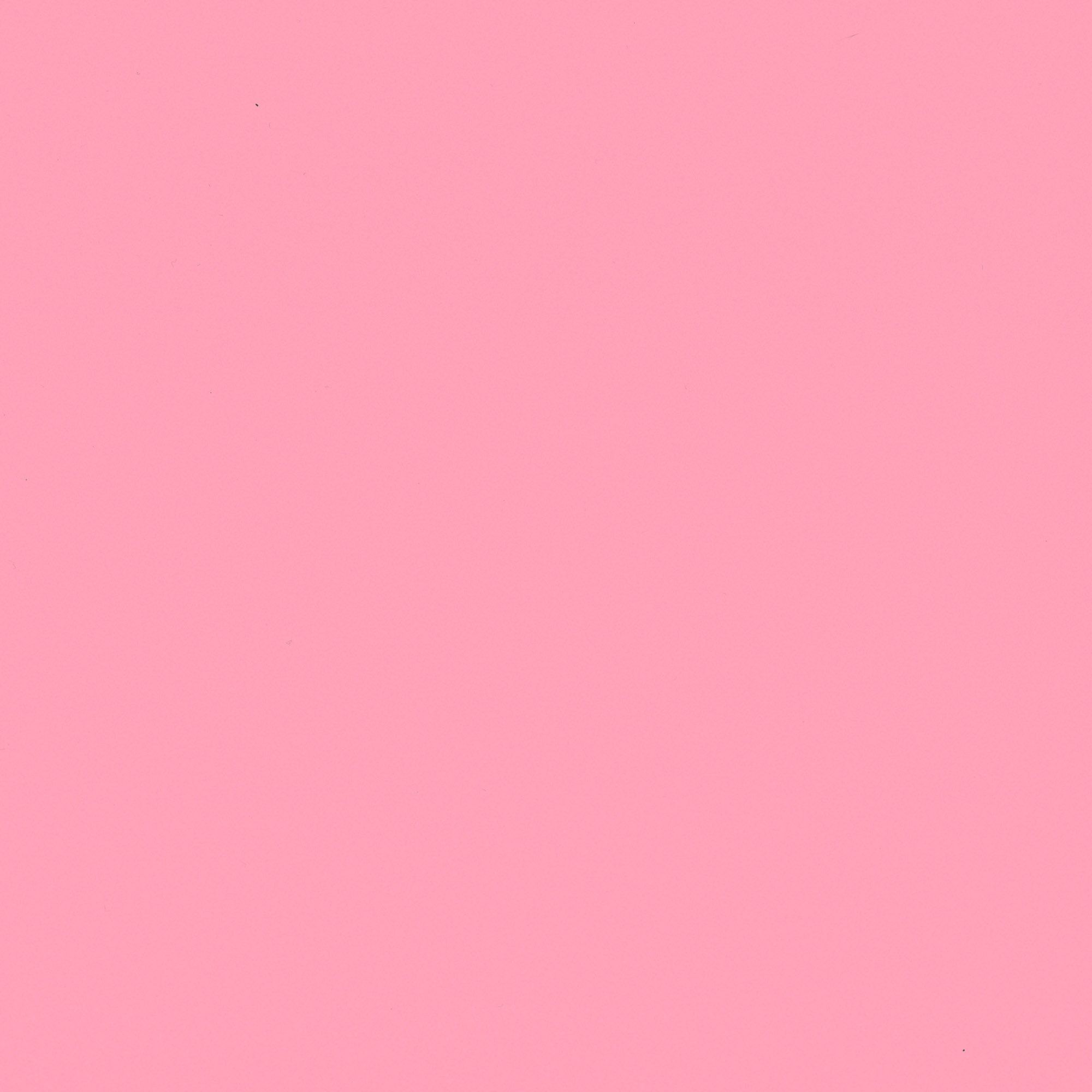NF07 Pink Flamingo