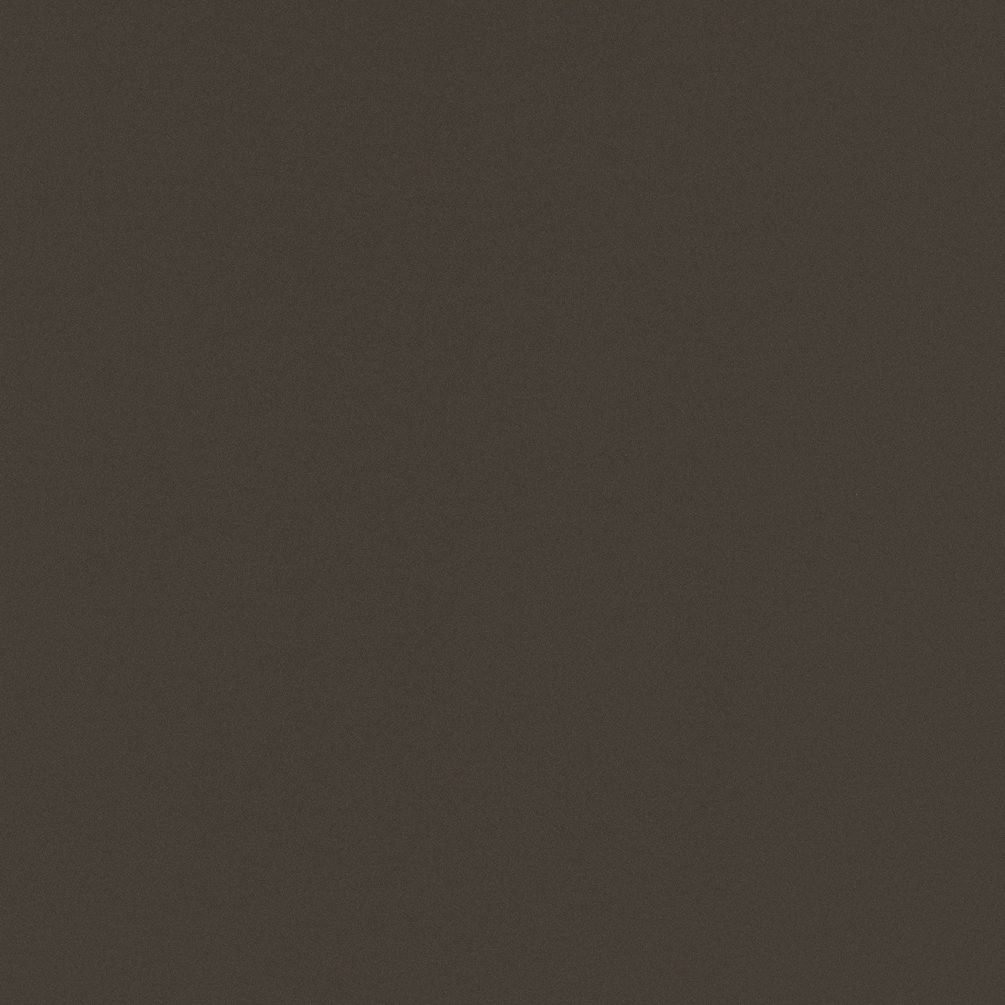 NF09 Cacao