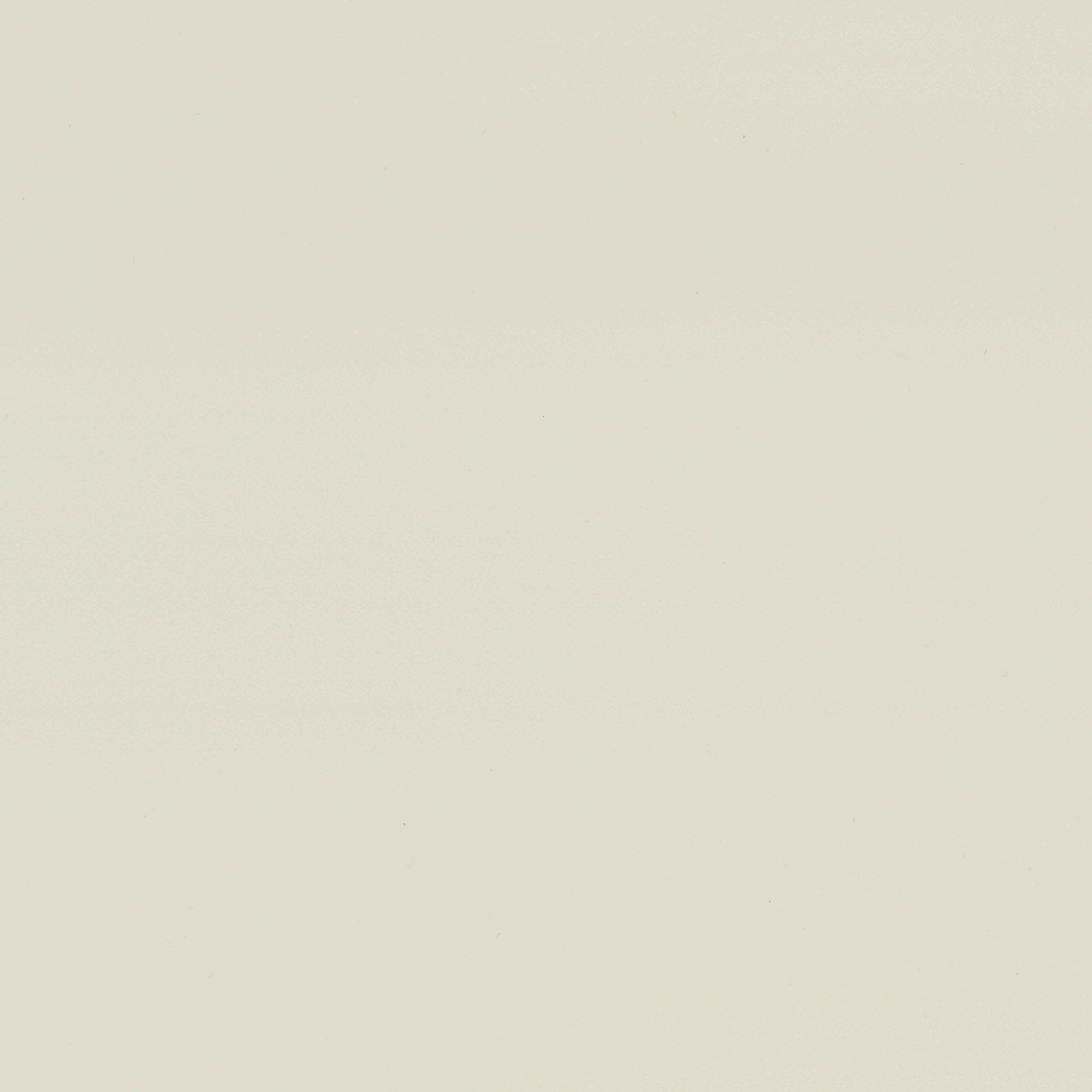 NF16 Ivory
