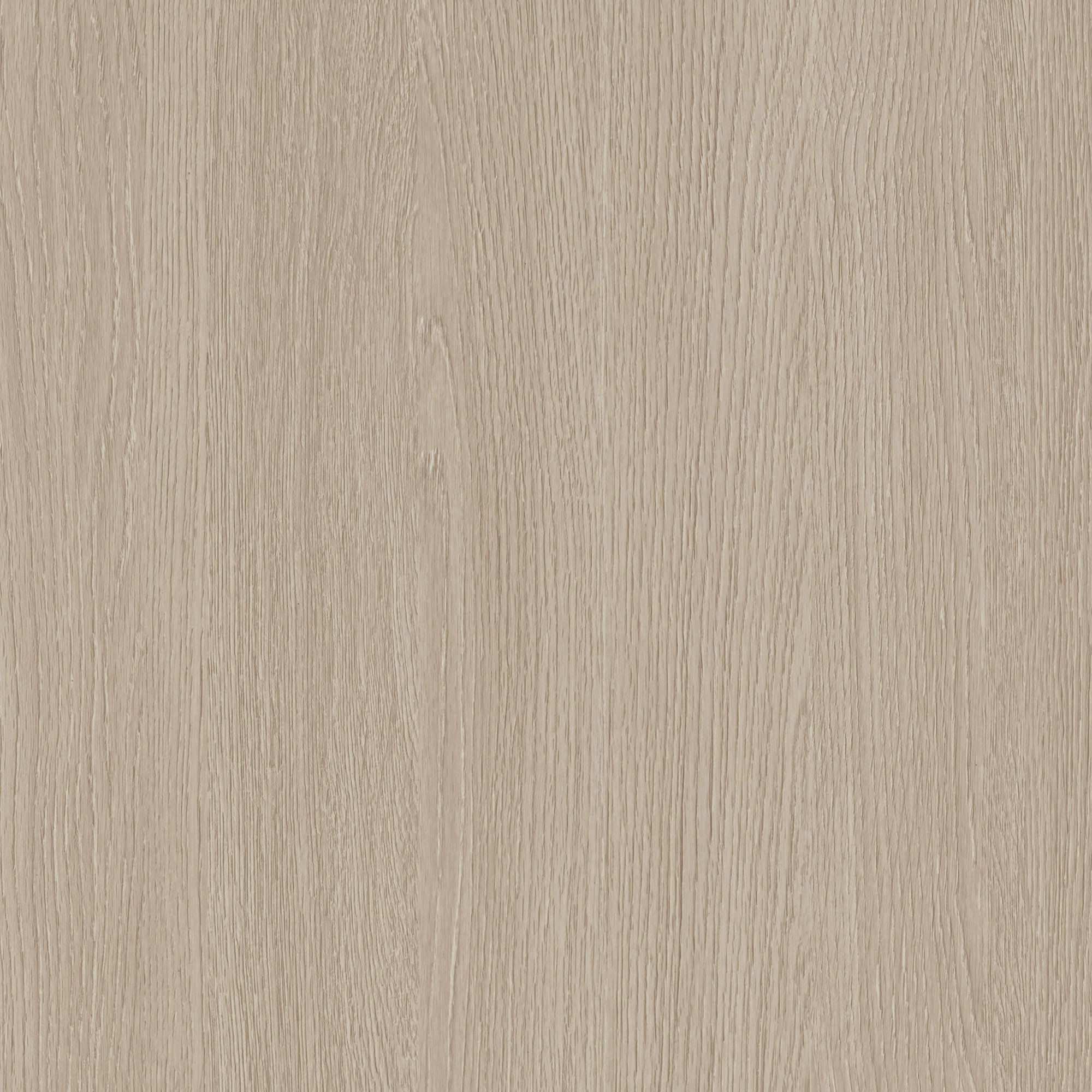 NF73 Desert Birch