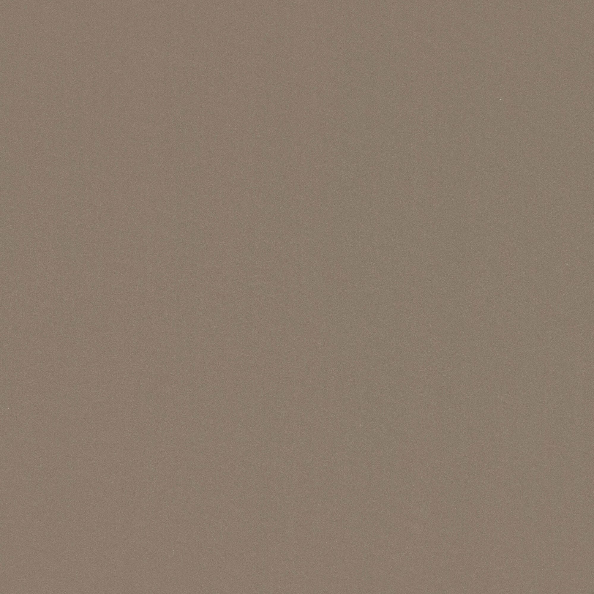 NK24 Suede Champage