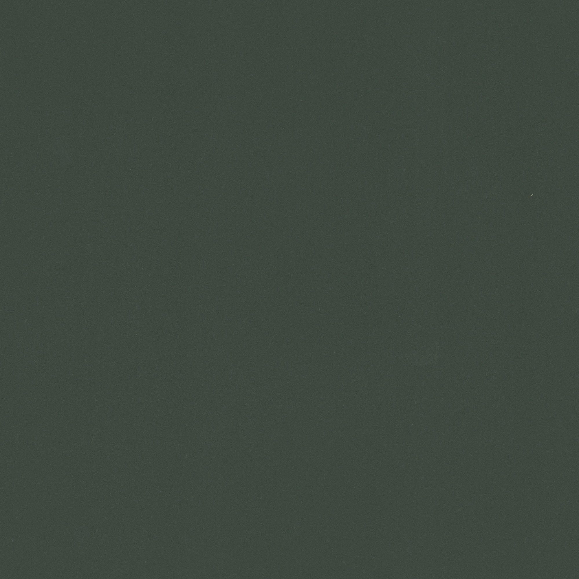 NK29 Suede Green