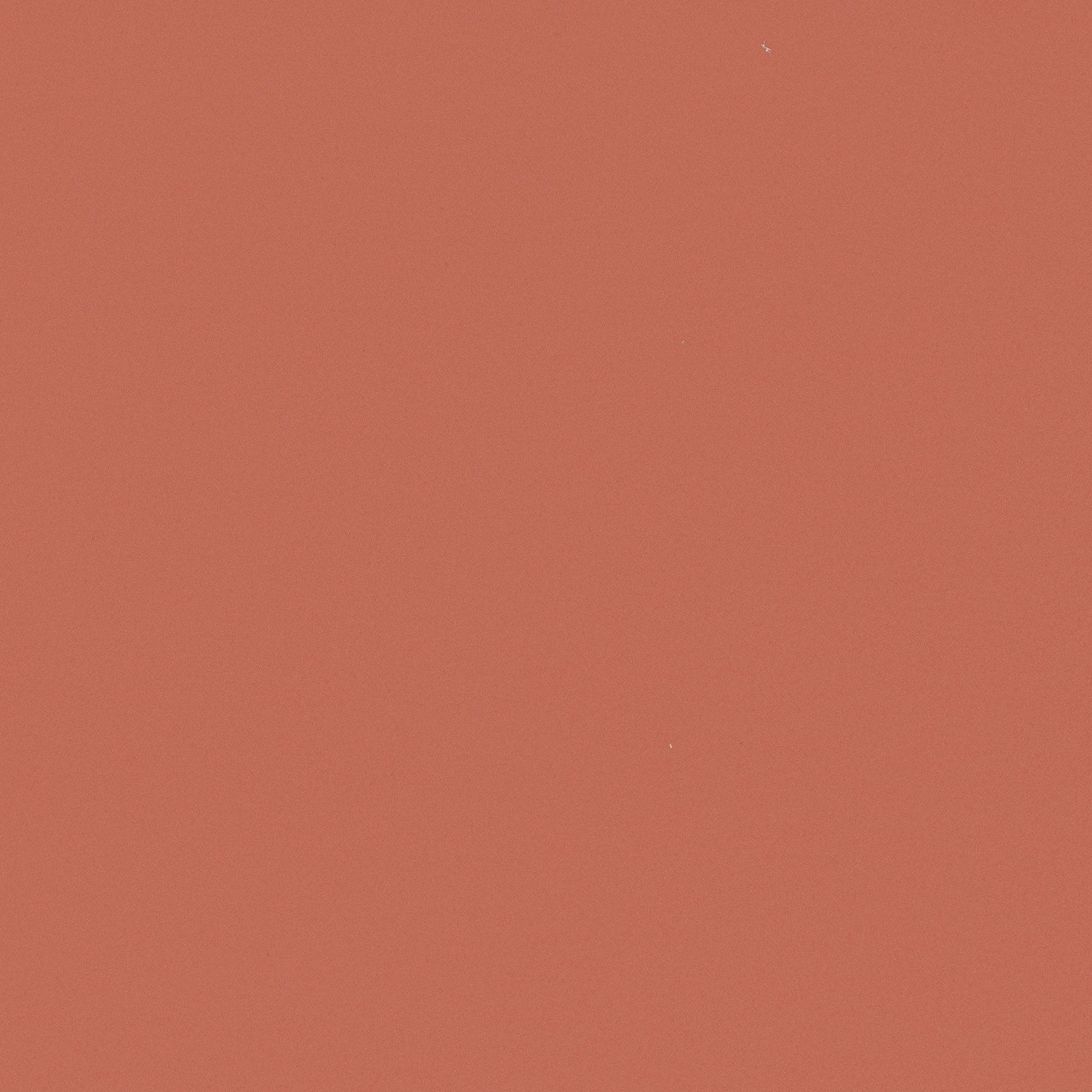 NL10 Canyon