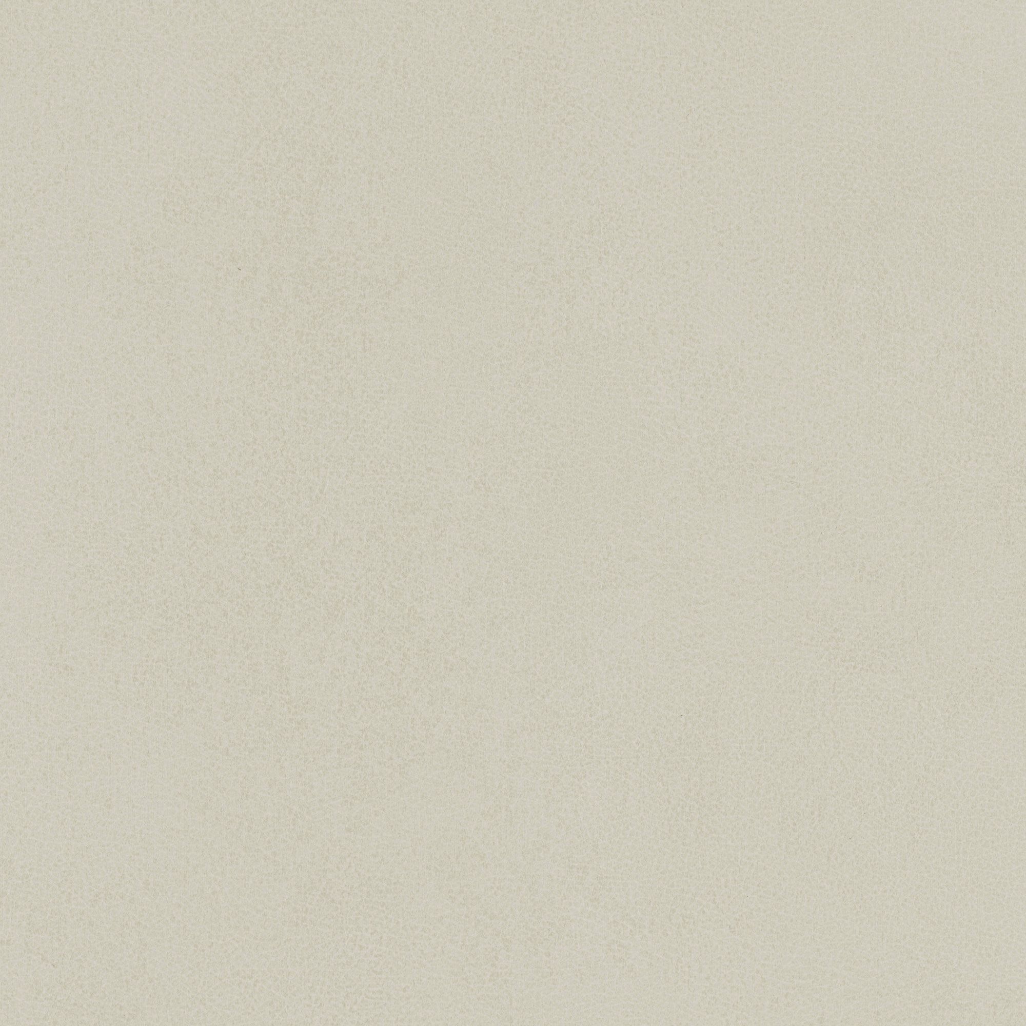 NL19 Bone