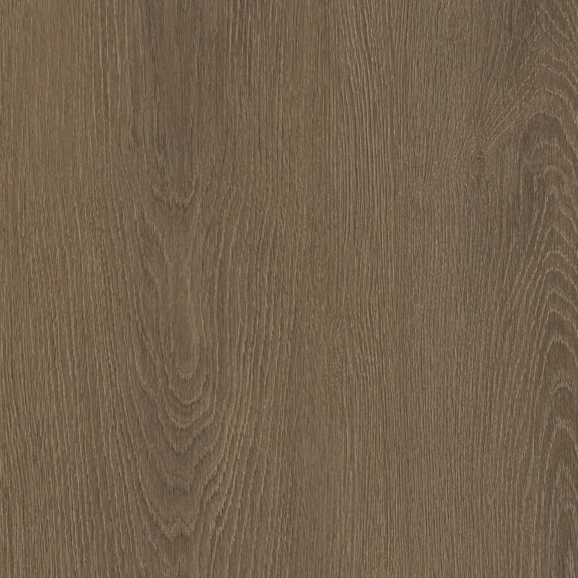 NL56 Earth Oak
