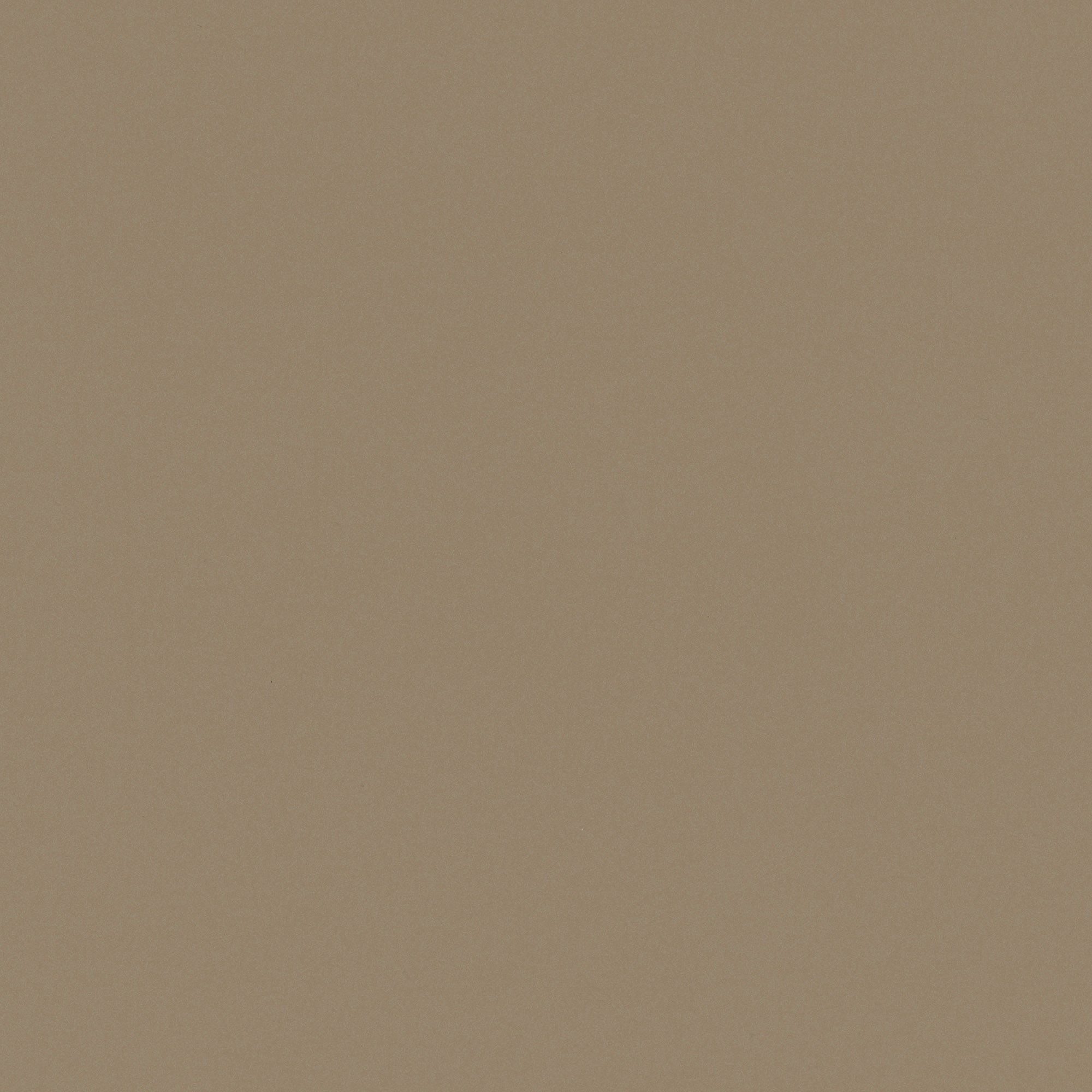 NL6 Mocha