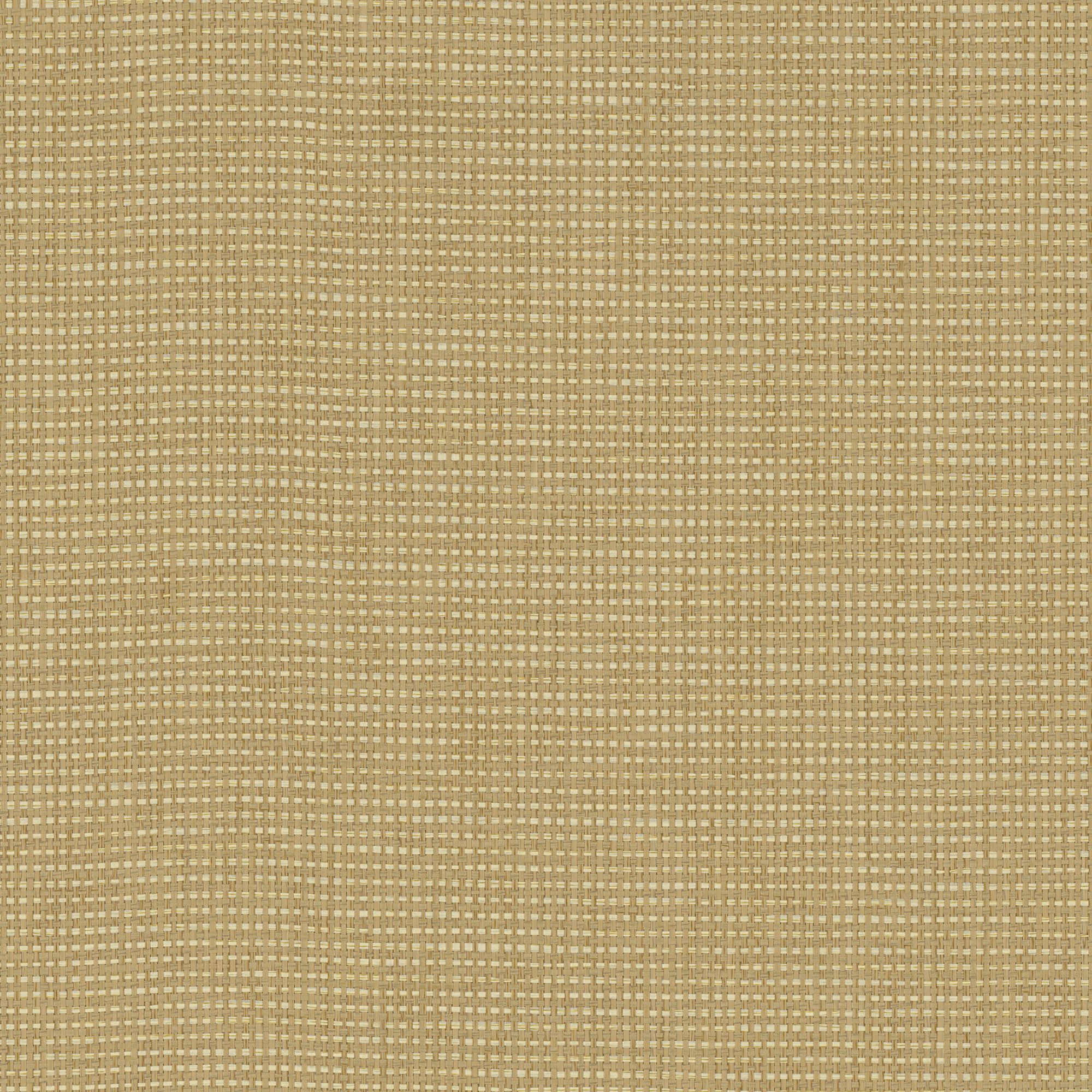 NP02 Desert Craft
