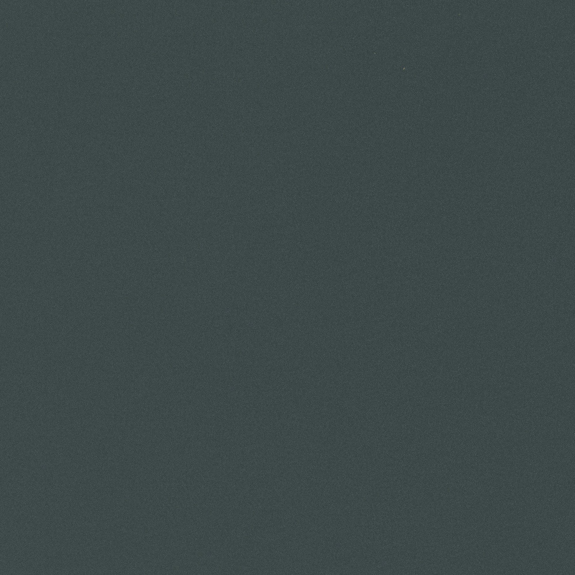RM06 Carbon