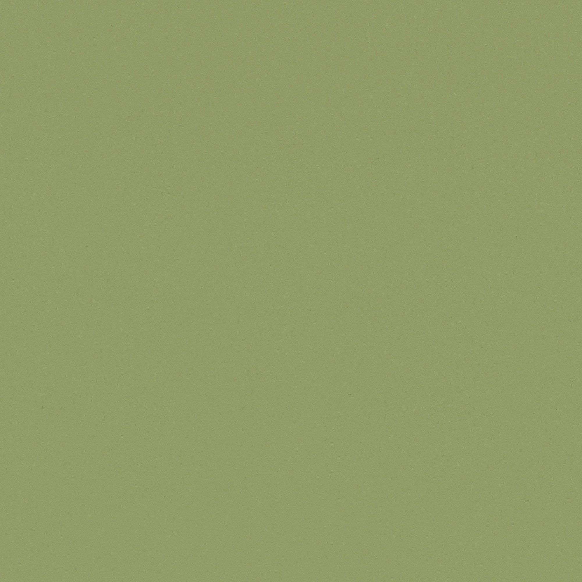 RM19 Olive
