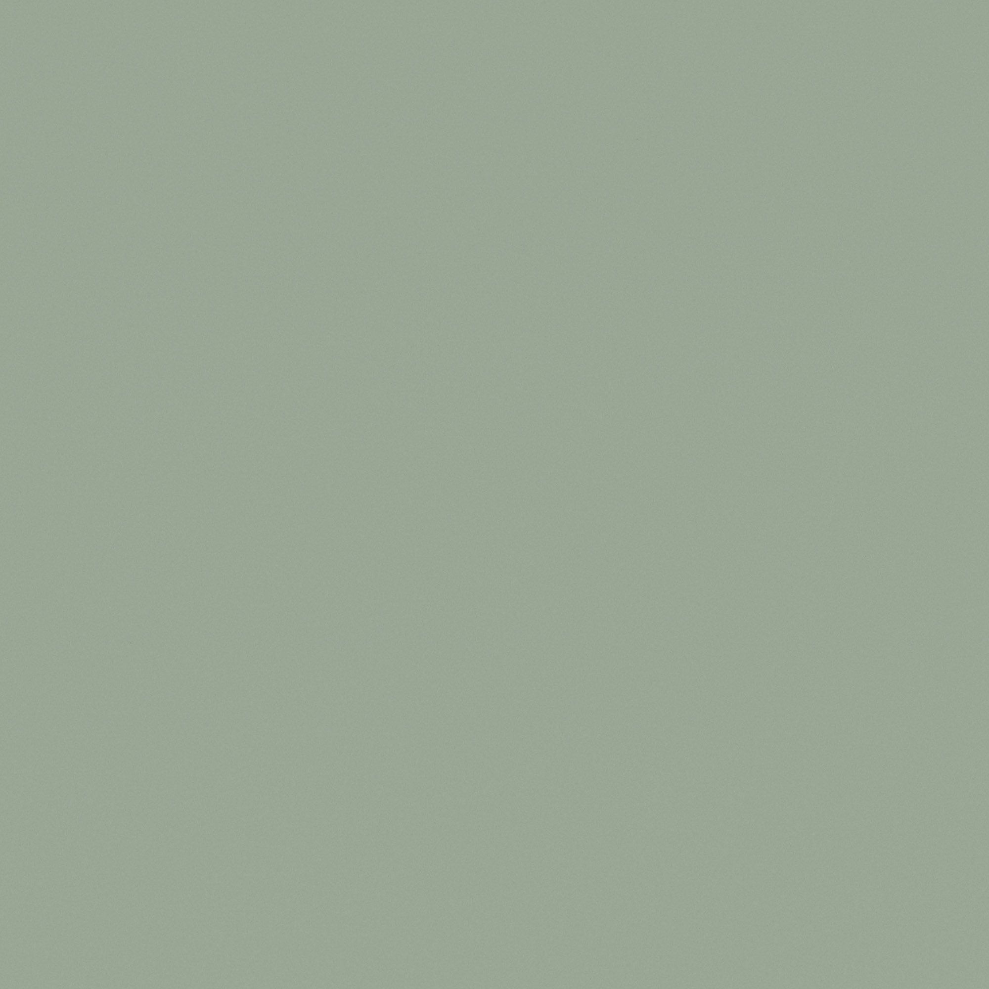 RM30 Eucalyptus