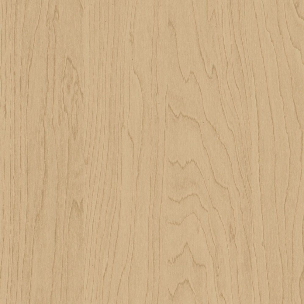 CT20 Gold Birch