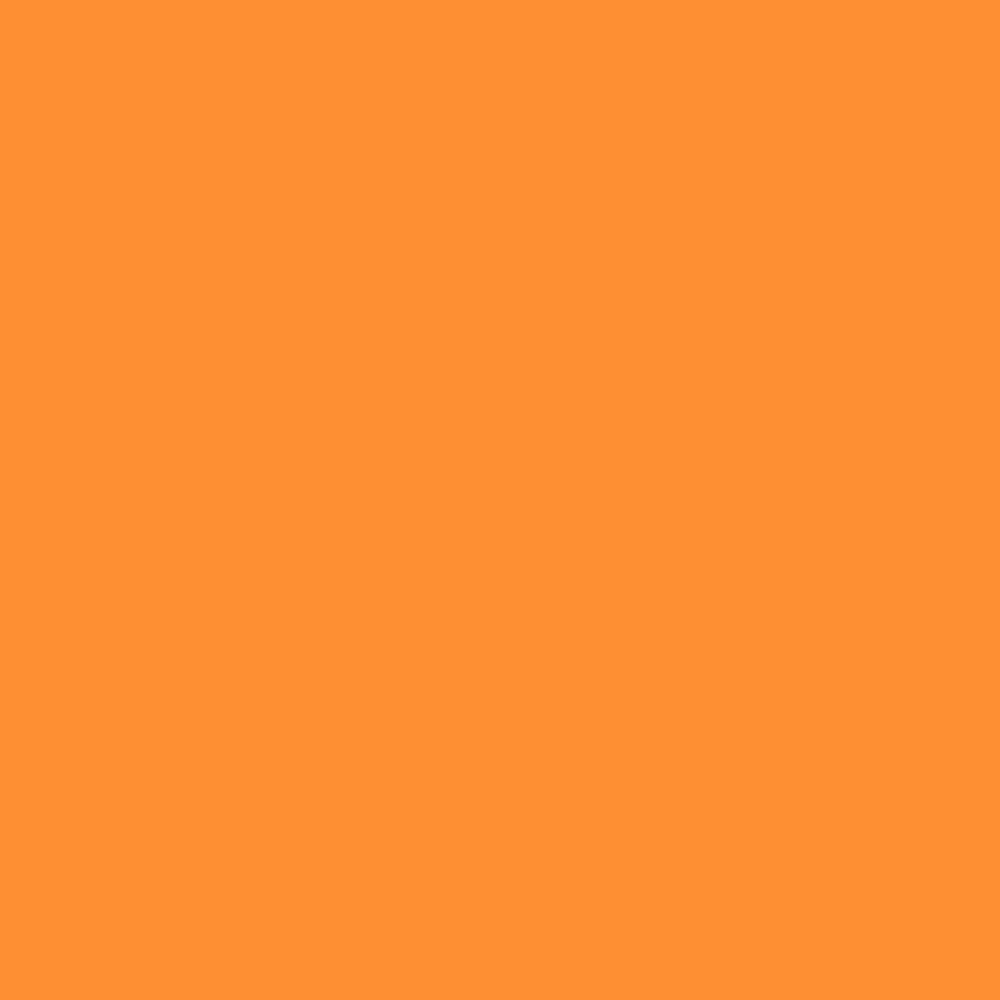 L3 Tangerine