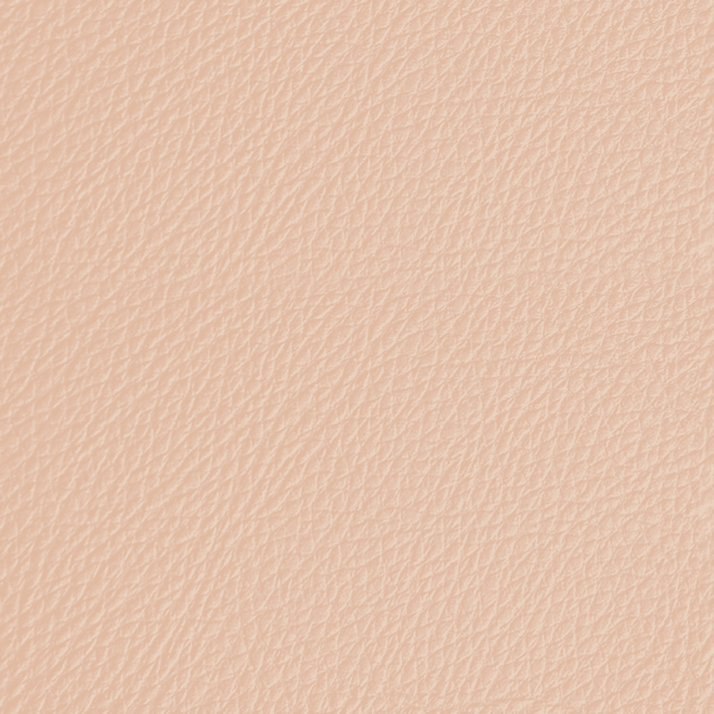 LP08 Blush rose