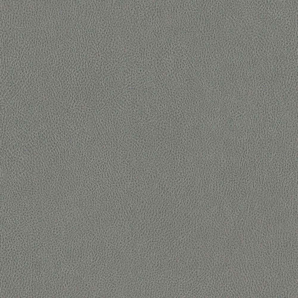 NE41 Grigio