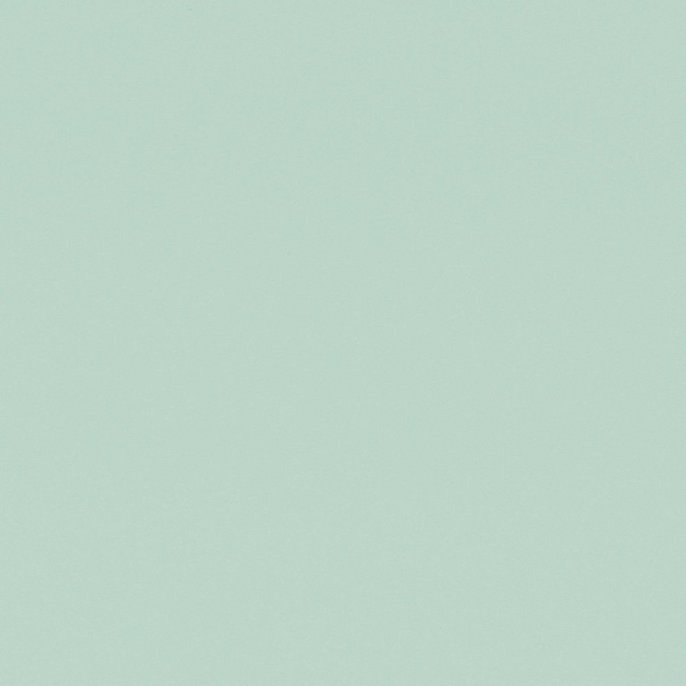 NE54 Mint