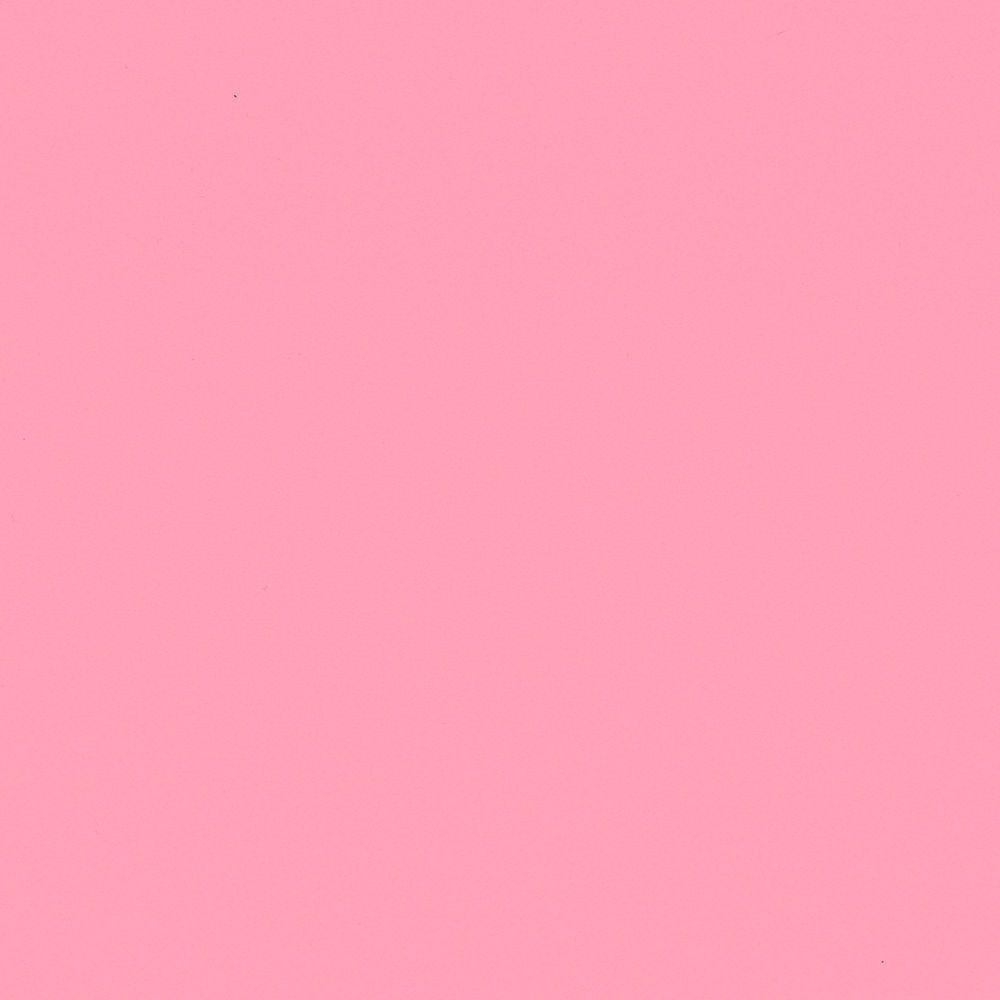 NF07 Pink Flamingo
