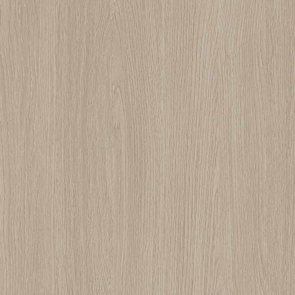 NF73 Desert Birch