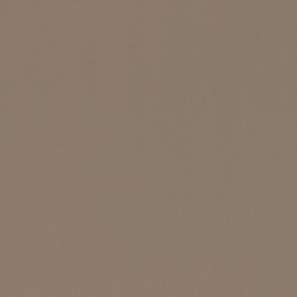 NK24 Suede Champage