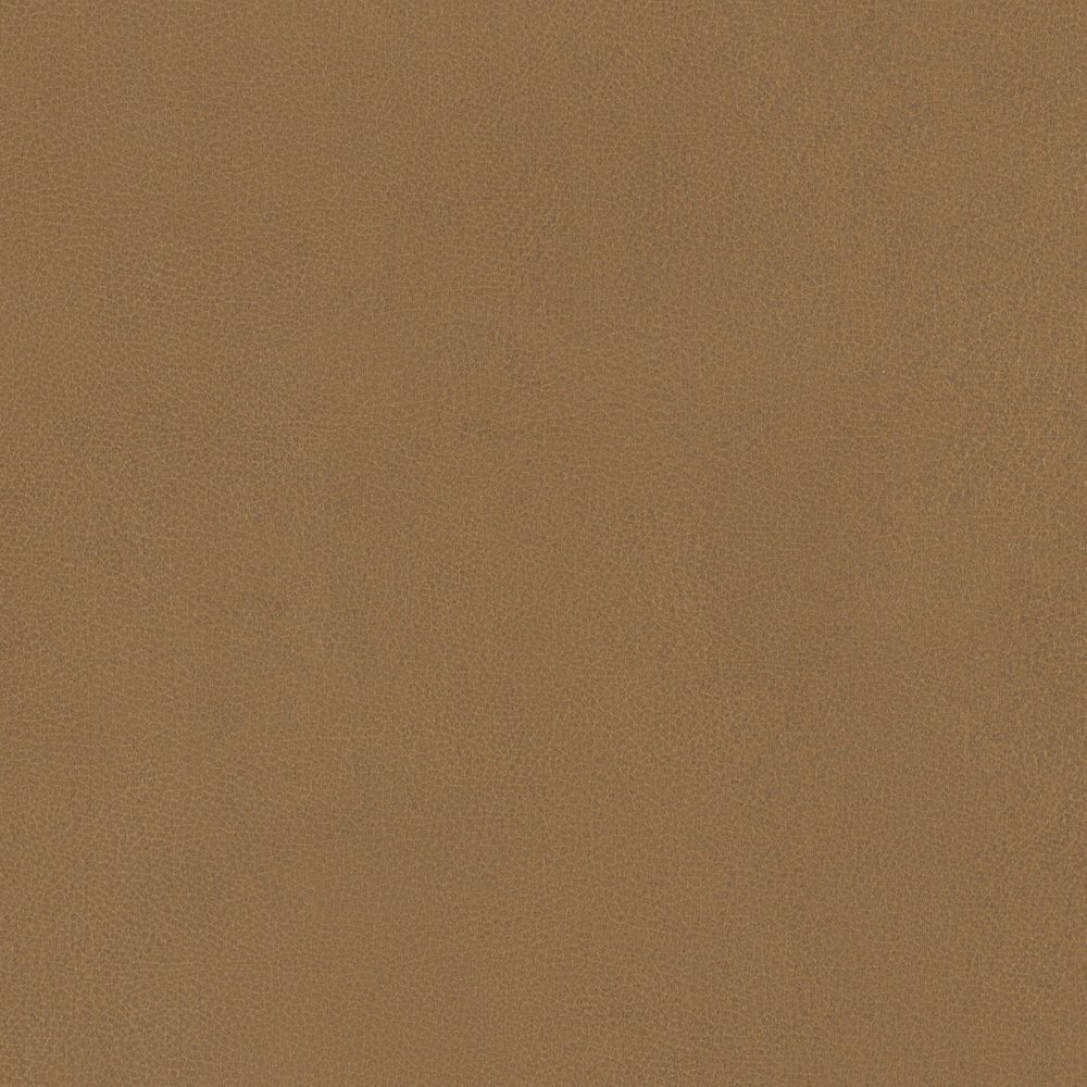 NL20 Camel