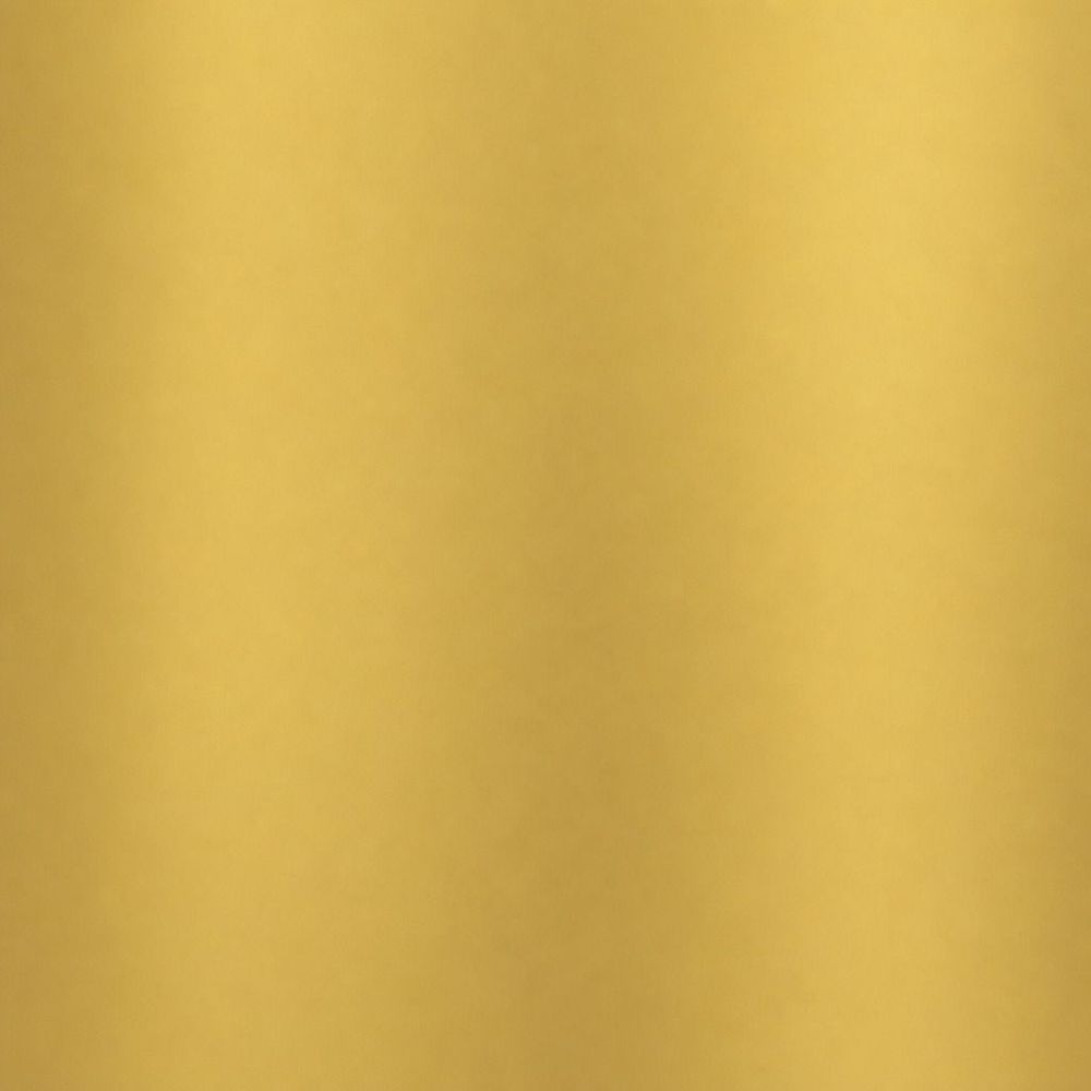 NL2 Mirror Gold