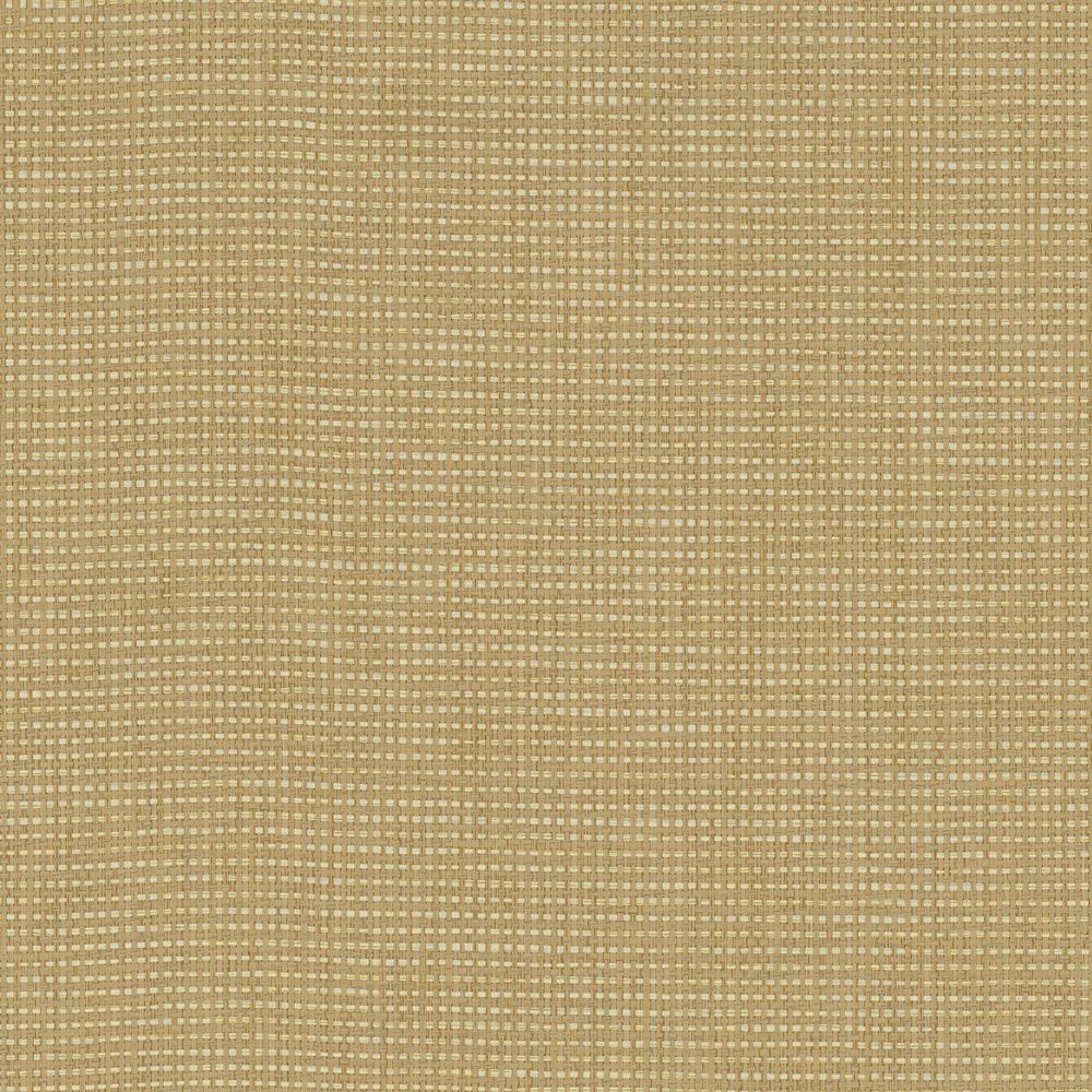 NP02 Desert Craft