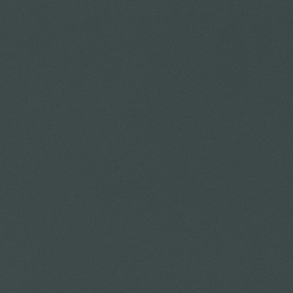 RM06 Carbon