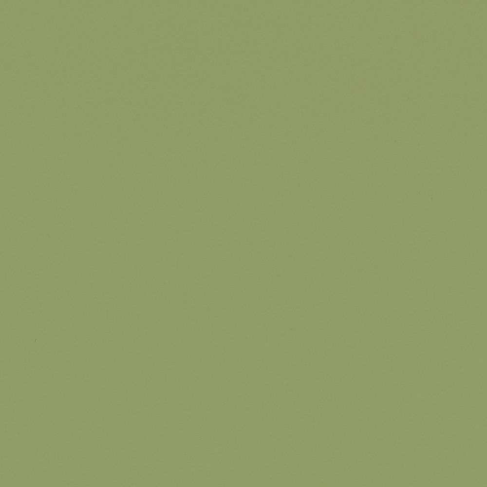 RM19 Olive
