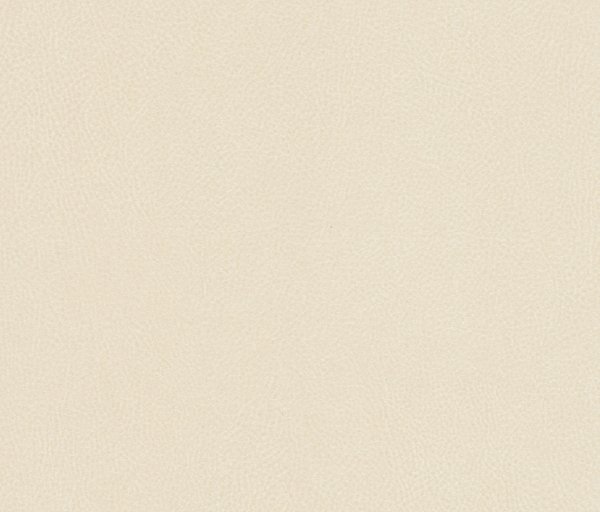 NE43 Cream