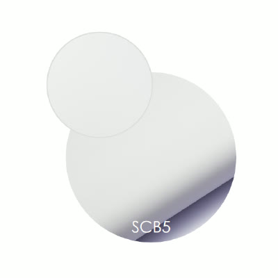SCB5