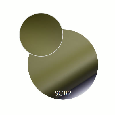 SCB2