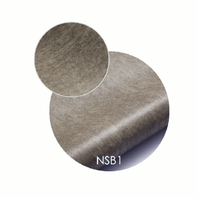 NSB1
