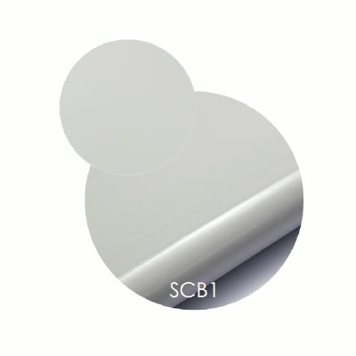 SCB1
